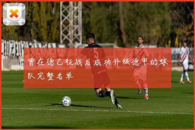 曾在德乙征战后成功升级德甲的球队完整名单