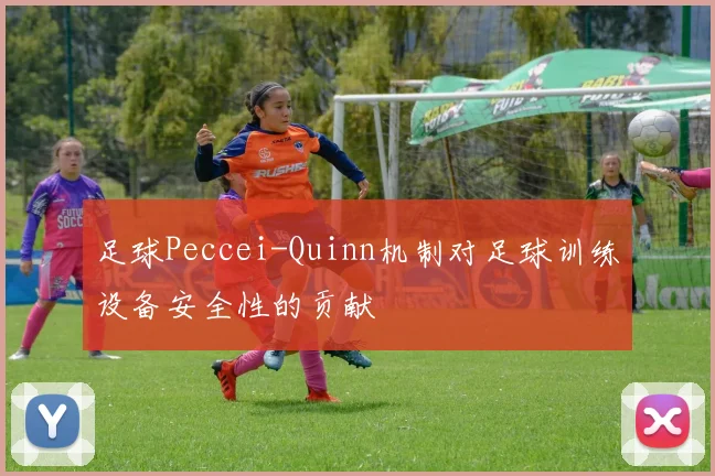 足球Peccei-Quinn机制对足球训练设备安全性的贡献