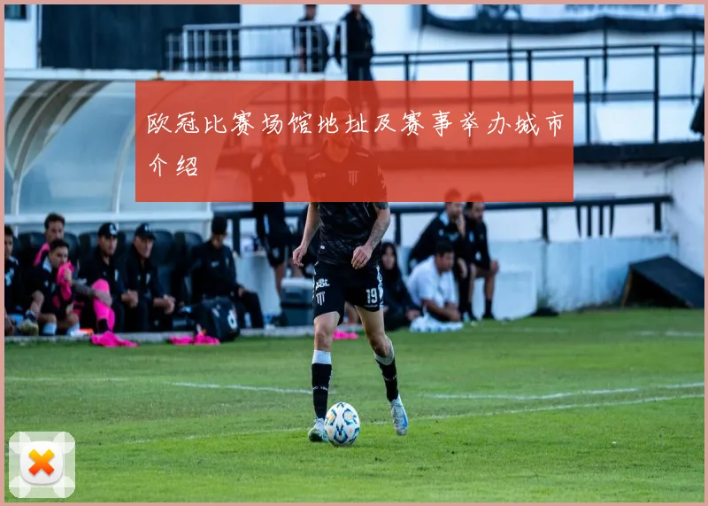 欧冠比赛场馆地址及赛事举办城市介绍