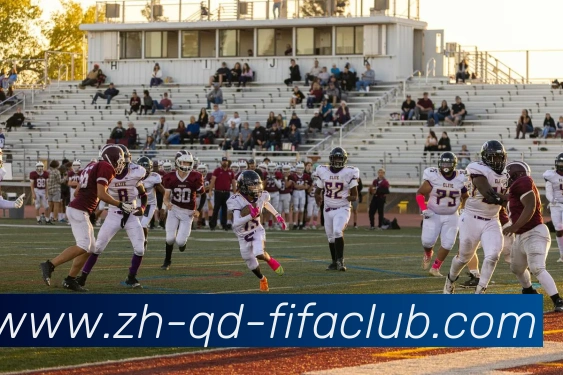 世界杯直播APP 高清赛事图