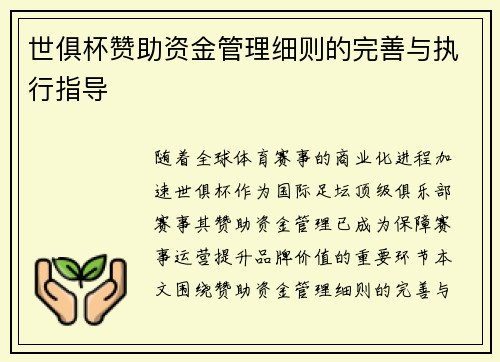 世俱杯赞助资金管理细则的完善与执行指导
